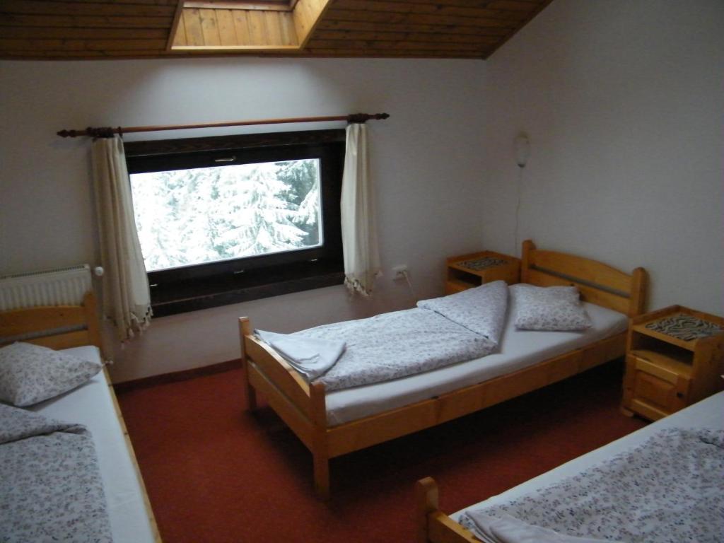 Balu Pension Topliţa Zimmer foto